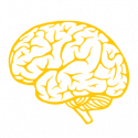 icons-brain Brain